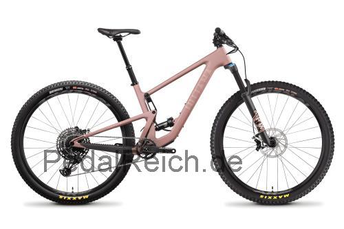 Santa Cruz Juliana Joplin  technische daten 